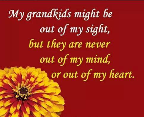 11038689_619005011562806_4429873198491187422_n