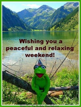 11143520_10153313872654939_6778892482954480369_n