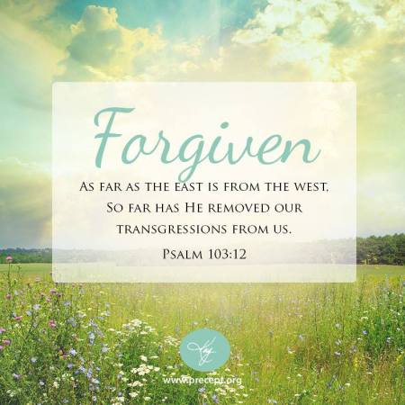 11403065_10153080198022857_7422430201210071756_n