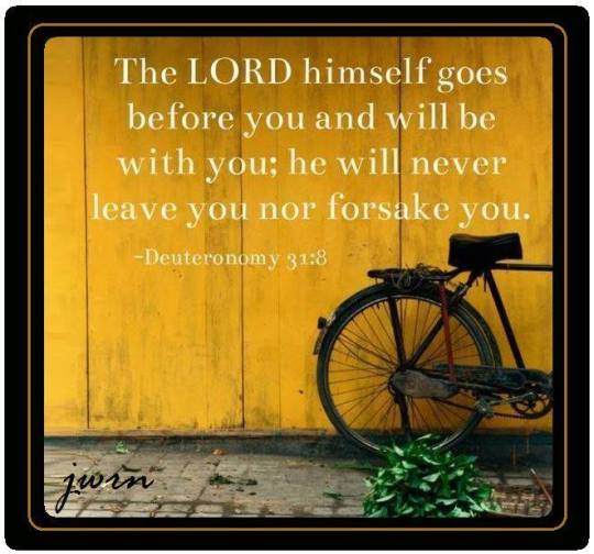 11742649_903496586385239_745188007965861370_n