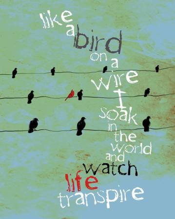 1922432_635178163198260_1458712053_n