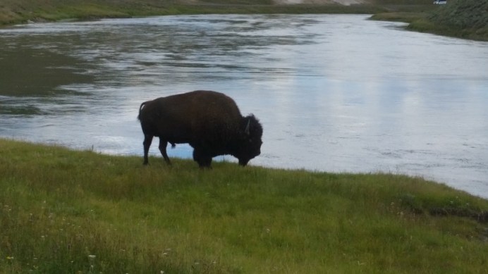 20150721_132348 (Small)