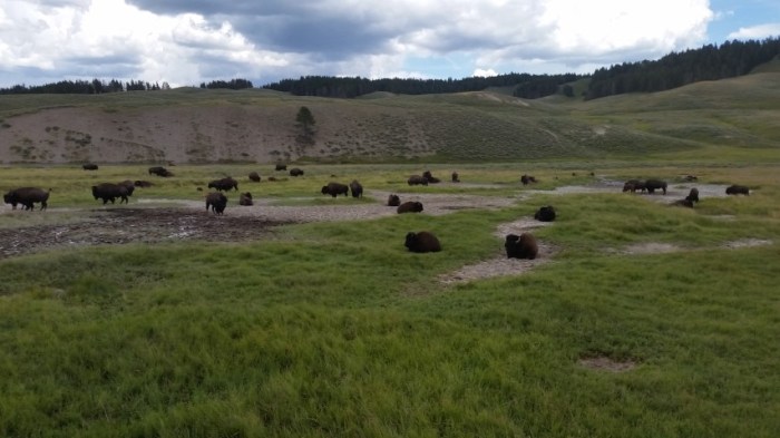 20150721_132700 (Small)