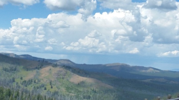 20150721_141200 (Small)