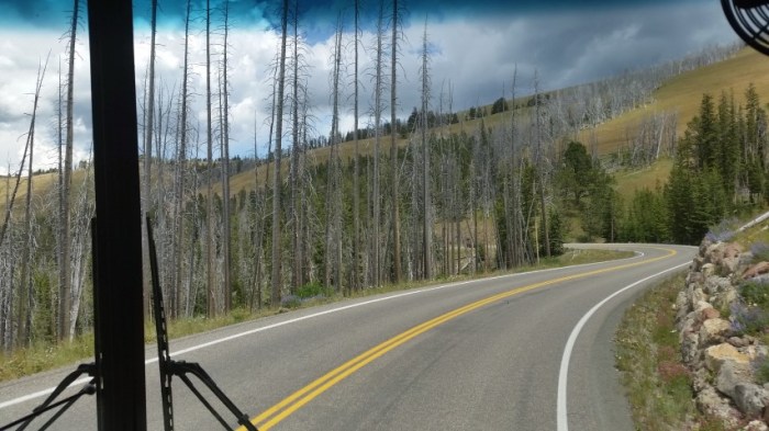 20150721_141508 (Small)