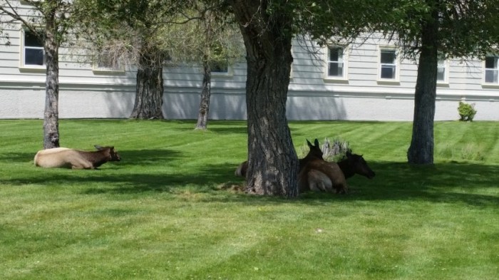 20150722_121340 (Small)