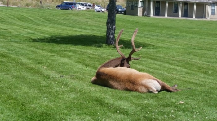 20150722_121345 (Small)