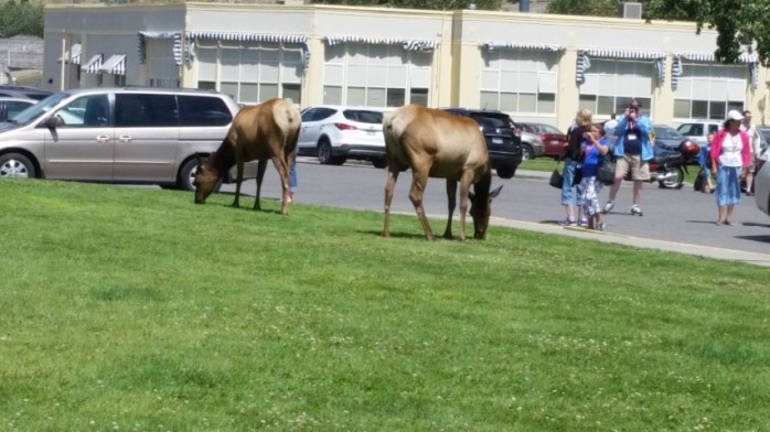 20150722_121611 (Small)