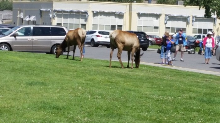 20150722_121611 (Small)