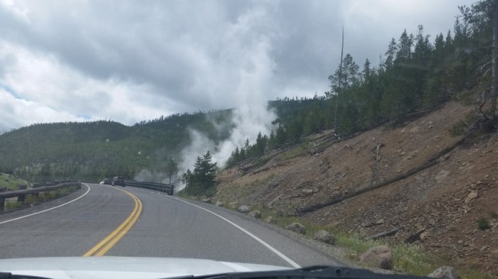 bgeyser along road