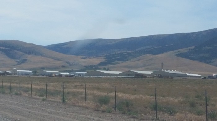 hutterite from far away