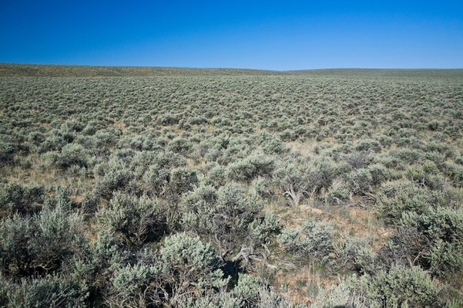 Sagebrush-steppe habitat near the Greater Sage-Grouse (Centrocercus urophasianus) lek located on Bureau of Land Management, BLM, land near Malheur National Wildlife Refuge, eastern Oregon, USA, April, 2009_OR_0572