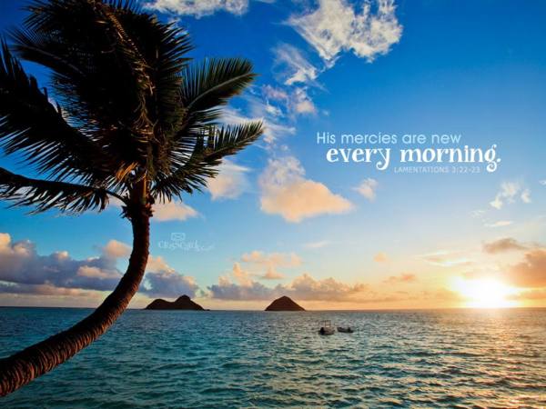 10492165_10152489539708903_3852041808756035049_n