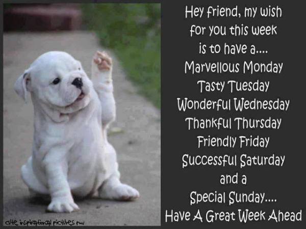 10625003_698244243588921_4803622444354962591_n