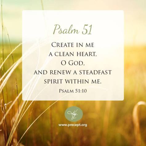 11745606_10153090860597857_905126592265638508_n