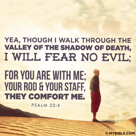 11902586_926542507461342_3945742529871268250_n