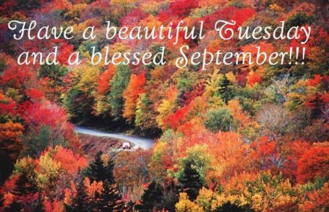 11924906_703229289807044_2385748290395118961_n