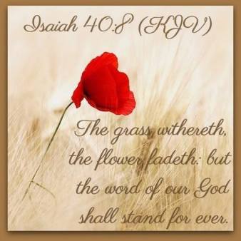 1465287_1116564078415280_9022467953859195410_n