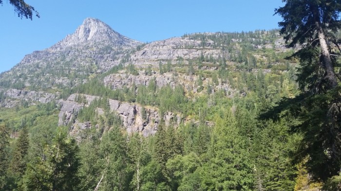 20150811_102349 (Medium)