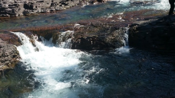 20150811_102418 (Medium)