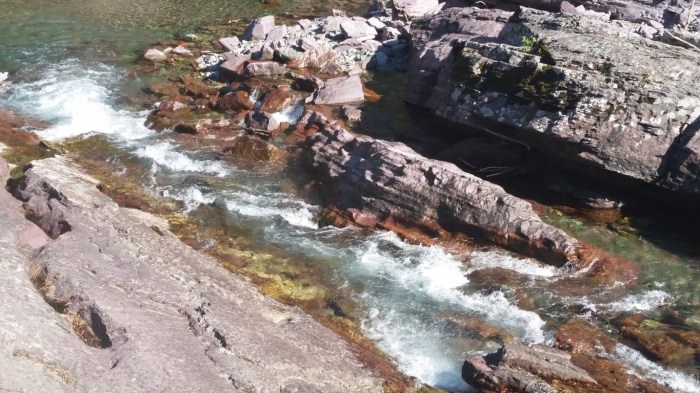 20150811_102435 (Medium)