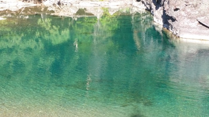 20150811_102840 (Medium)