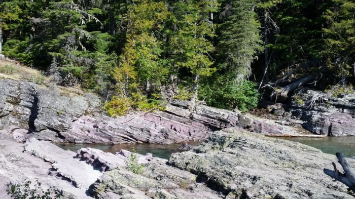 20150811_102923 (Medium)