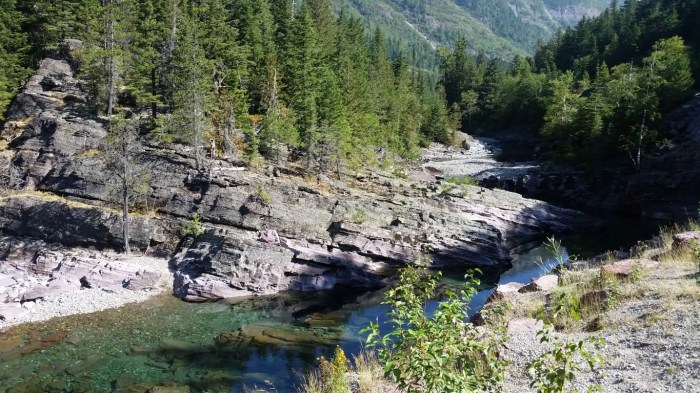 20150811_103206 (Medium)