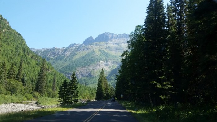 20150811_104105 (Medium)