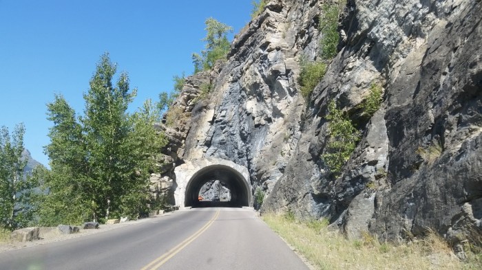 20150811_104641 (Medium)