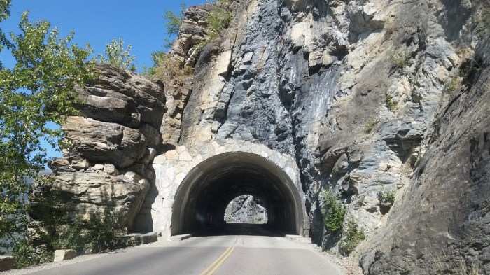 20150811_104646 (Medium)