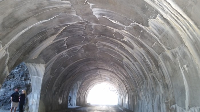 20150811_104700 (Medium)