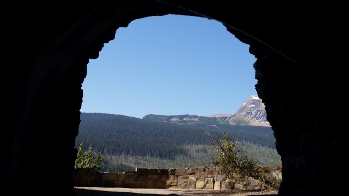 20150811_104721 (Medium)