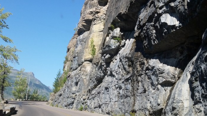 20150811_104729 (Medium)