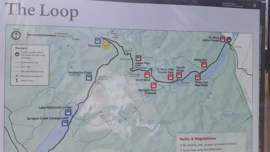 20150811_105809 (Medium)