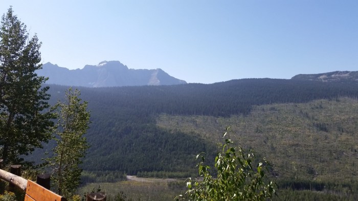 20150811_105824 (Medium)