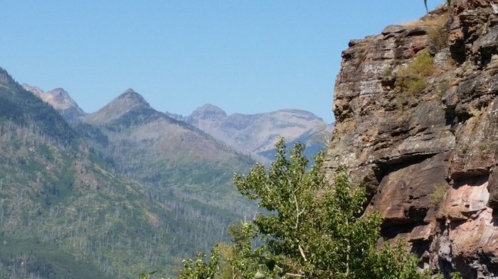 20150811_110847 (Medium)