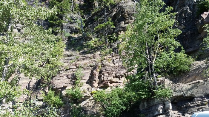 20150811_110902 (Medium)