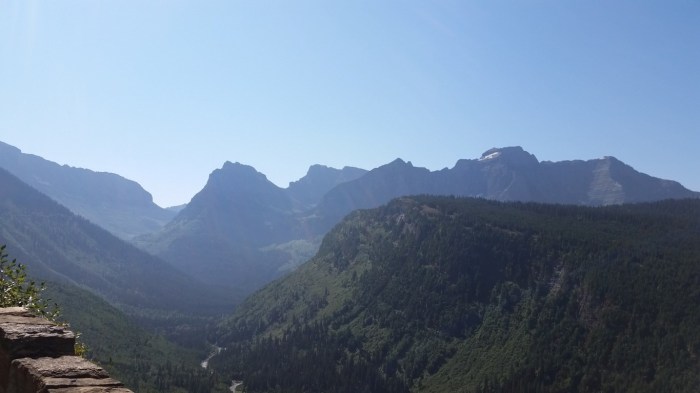 20150811_111009 (Medium)