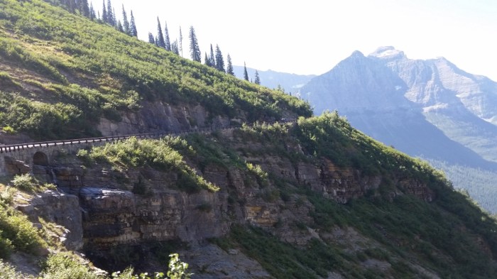 20150811_111634 (Medium)