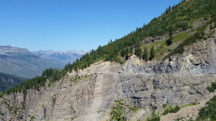 20150811_111709 (Medium)