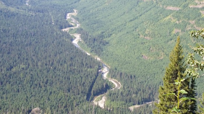 20150811_112000 (Medium)