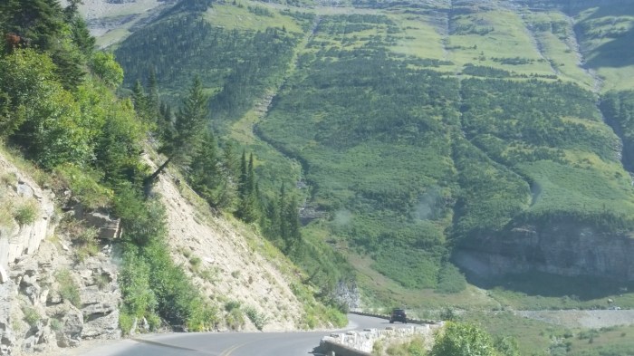 20150811_112400 (Medium)