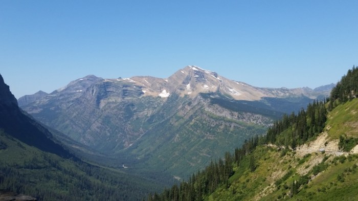 20150811_112539 (Medium)