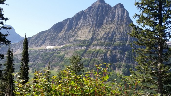 20150811_112618 (Medium)