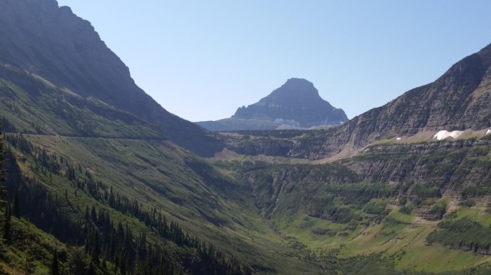 20150811_112639 (Medium)