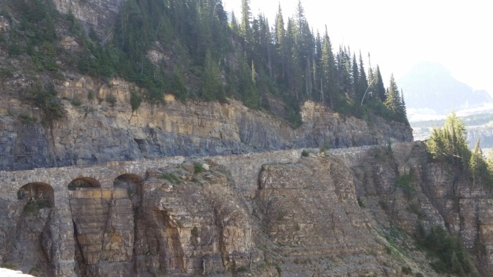 20150811_112753 (Medium)