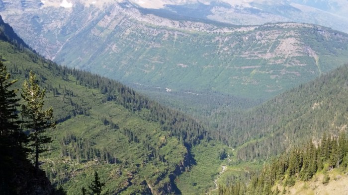 20150811_112826 (Medium)