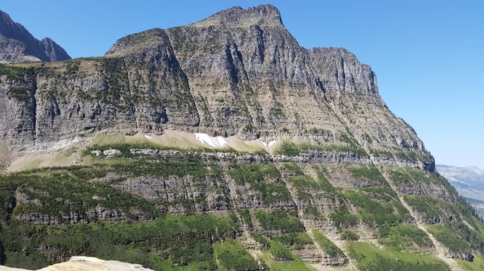 20150811_113024 (Medium)