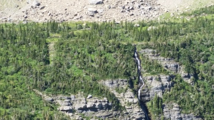 20150811_113057 (Medium)